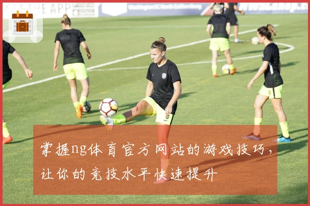 掌握ng体育官方网站的游戏技巧，让你的竞技水平快速提升
