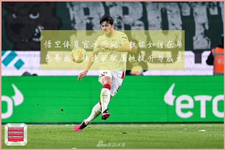 悟空体育官方网站：教你如何在角色养成中快速获取属性提升与成长路线选择技巧