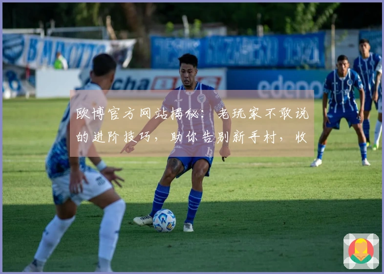 欧博官方网站揭秘：老玩家不敢说的进阶技巧，助你告别新手村，收益翻倍！